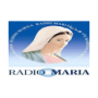 Radio María desde La Paz